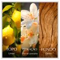 Perfume Chanson D'eau Lemon Feminino Eau de Toilette 100ml